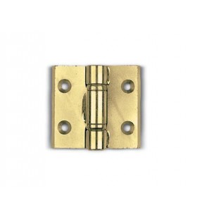 Bisagra lateral en acero con 2 alas