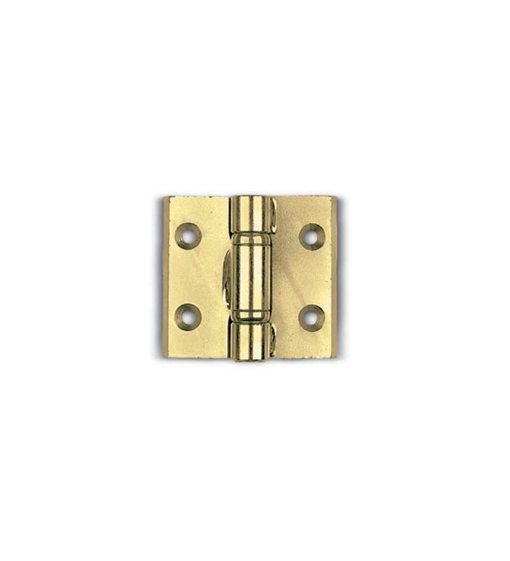 Bisagra lateral en acero con 2 alas