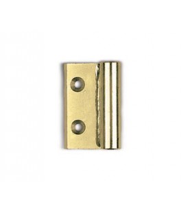 Bisagra lateral grande en acero con 1 ala